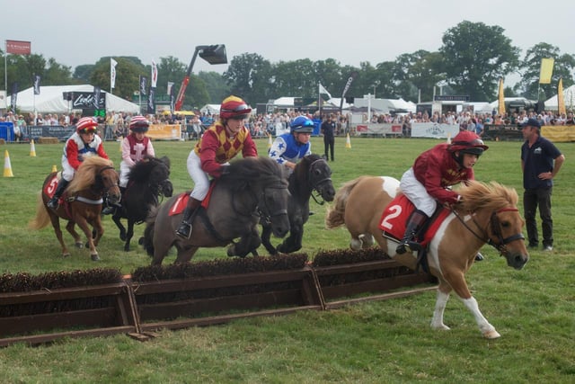 Moreton Show - Pony Grand National by Andrew Spackman, which will be part of the Banbury Camera Club's exhibition held at The Heseltine Gallery
