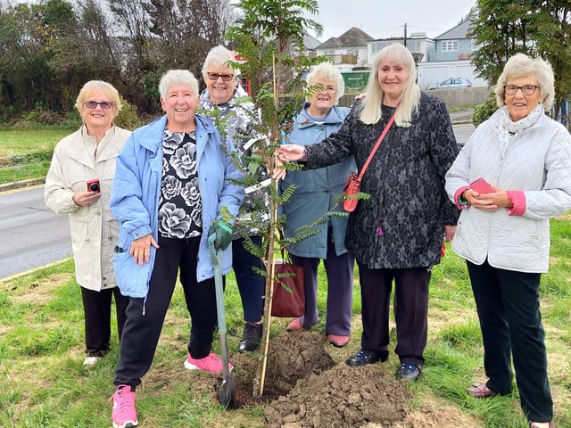 Pictured here are members of the Anderida WI, which meets in Pevensey Bay, planting trees in the village for next year’s Queen’s Platinum Jubilee. For more information, visit www.esfwi.org.uk/wis/anderida/ SUS-211029-110644001