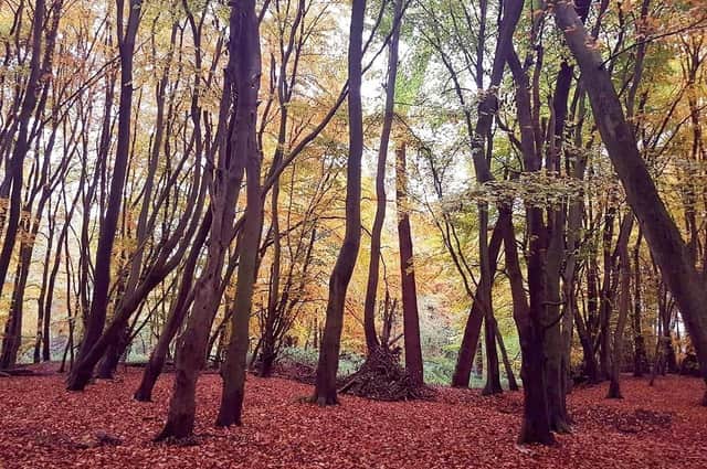 Take a look at these beautiful scenes of our county in the Autumn.