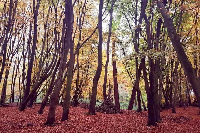 Take a look at these beautiful scenes of our county in the Autumn.