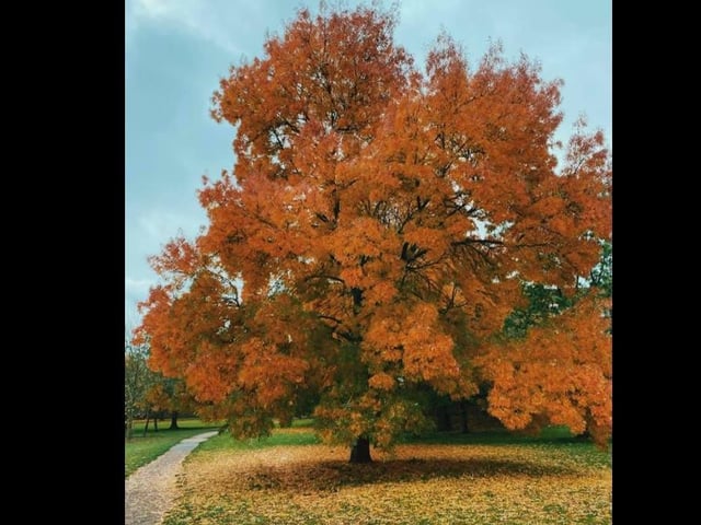 Photo by Chloë Duke
