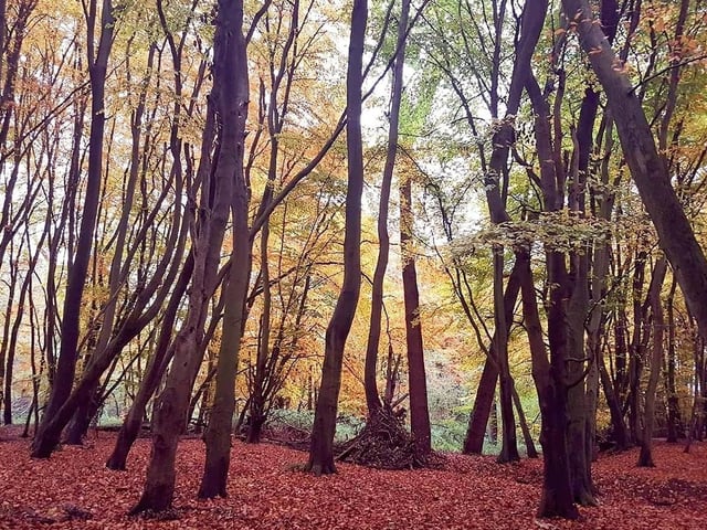 Photo by Annabel Hughes