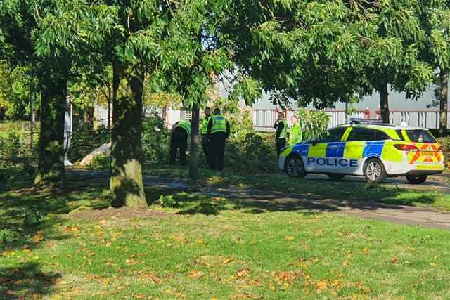 Officers attend to a fallen tree on Newcombe Way, Orton Southgate.