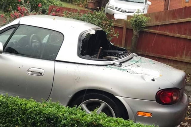 A car hit by a tree in Rothwell. Picture: Lindsey Kennedy