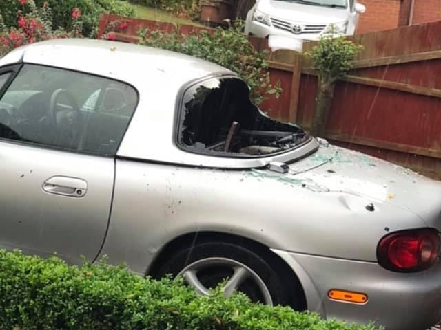 A car hit by a tree in Rothwell. Picture: Lindsey Kennedy