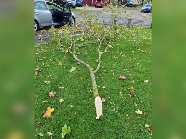 A branch that landed on the car of Phil Andrews in Corby.