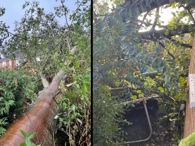 This huge tree came down on Emma Louise Staceys home