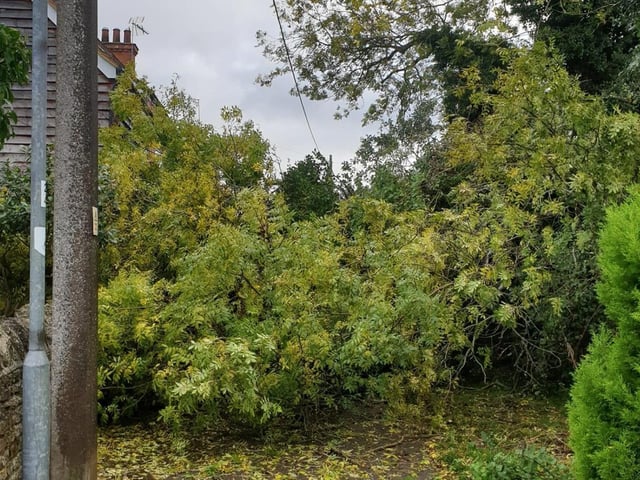 Tina Hackett captured a tree that had fallen across a single track road in Chelveston that has left residents stranded