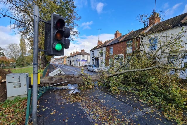 A fallen tree blocks St Andrews Road in Semilong. Photo: Pete Cobbe