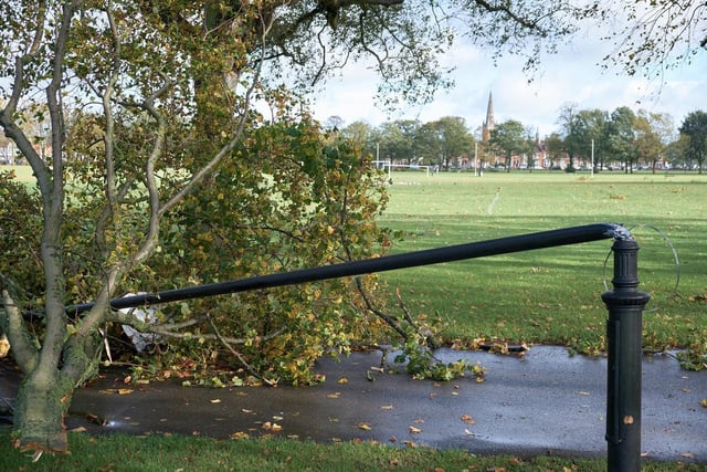 A lamppost was bent over by a tree in the Racecourse in Northampton. Photo: Daniel Williams