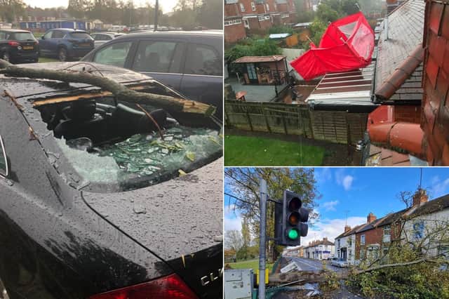 Damage caused by the storm in Northampton yesterday (Sunday, October 31)