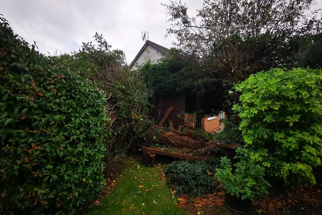 Hayley Cooper said: "Our tree came down and nearly killed our neighbour trying to support the fence, thankfully the gazebo and table took the brunt and the neighbour came off with scrapes but it could have been much worse! It was crazy!"
