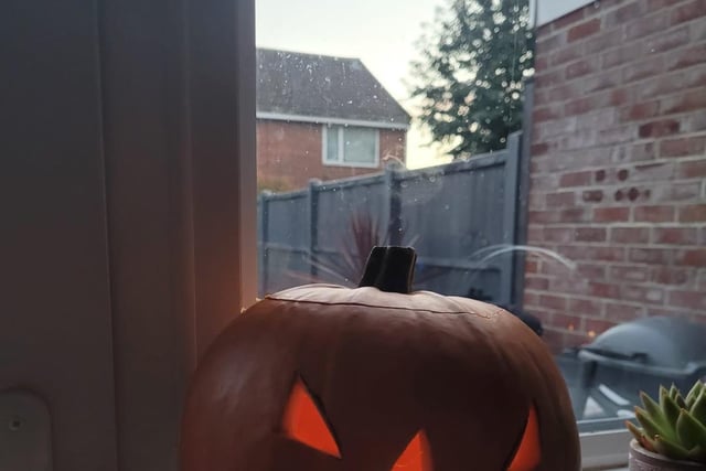 Kelly Ewens sent in this spiky spookster.