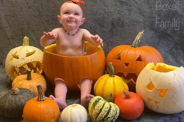 Natasha Jean Stone sent what has to be the most adorable collections of pumpkins and a munchkin. I take back what I said earlier, this is my favourite.