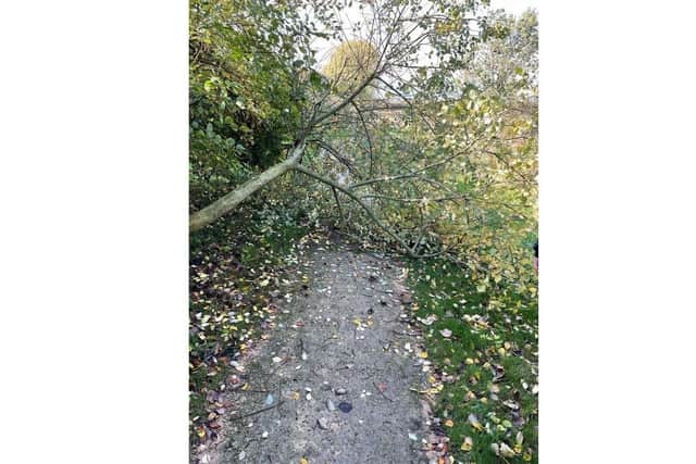 A tree blocked a path at Sacrewell Farm.
