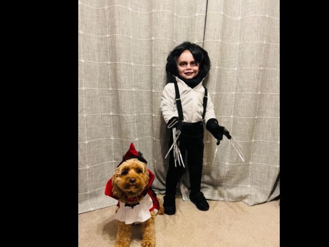 George, aged three, with his little sidekick, Dottie. Photo by Jodie Bright.