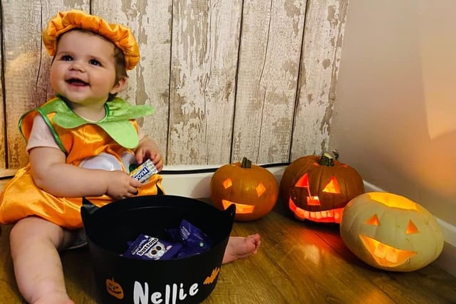 Eight-month-old Nellie enjoying her first Halloween. Photo by Shelley Melissa.