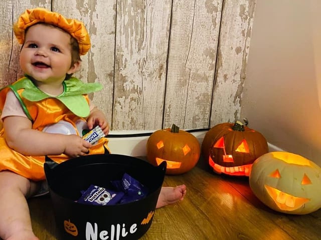 Eight-month-old Nellie enjoying her first Halloween. Photo by Shelley Melissa.