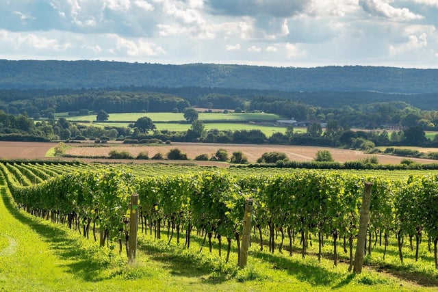 Nyetimber and Pagham had 837.1 Covid-19 cases per 100,000 people in the latest week, a rise of 8.3 per cent from the week before.