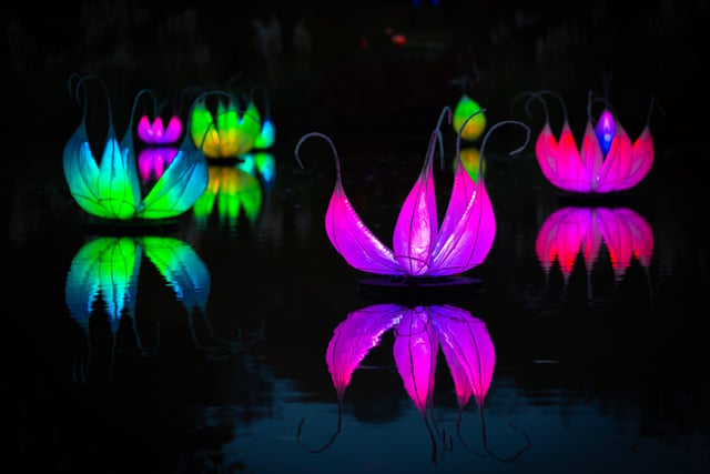 Wakehurst: Glow Wild. Another stunning light show and woodland walk but in West Sussex. This year Brighton-based light artists, Ithaca, will transform the walled garden into a tranquil Twilight Garden, illuminated by dazzling glowworms. Photo by John White