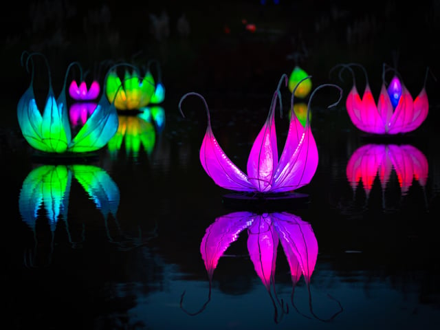 Wakehurst: Glow Wild. Another stunning light show and woodland walk but in West Sussex. This year Brighton-based light artists, Ithaca, will transform the walled garden into a tranquil Twilight Garden, illuminated by dazzling glowworms. Photo by John White