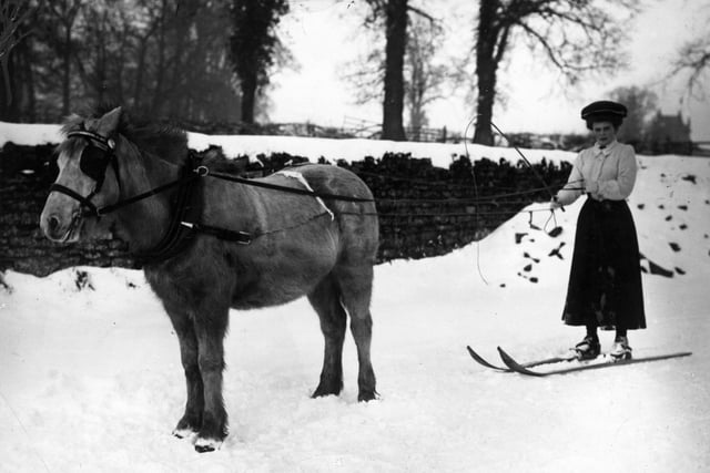 1st December 1908: A female skier about to be pulled along by a horse in Northampton. (Photo by Topical Press Agency/Getty Images)