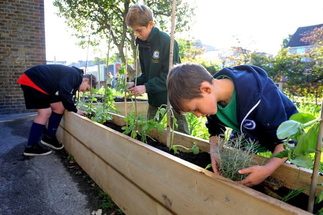 Year four pupils working in the new planters. Picture: Steve Robards SR2111051