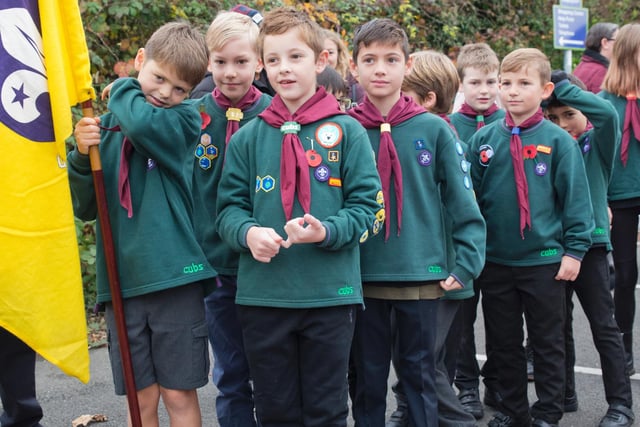Baden Cubs 1st Burgess Hill Scout group