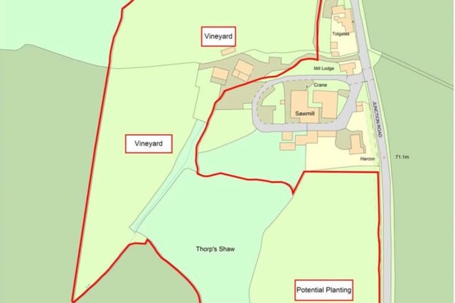 The footprint of the Sedlescombe Vineyard estate. SUS-211116-083329001