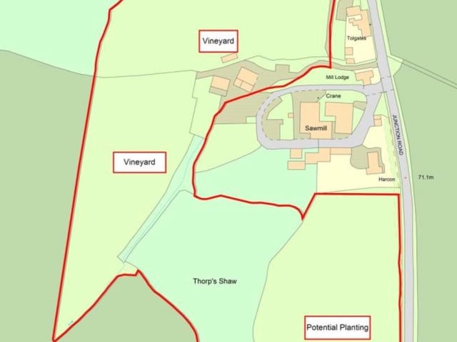 The footprint of the Sedlescombe Vineyard estate. SUS-211116-083329001