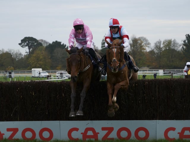 Action from the Southern National and other races at Fontwell Park / Pictures: Clive Bennett - see more at polopictures.co.uk