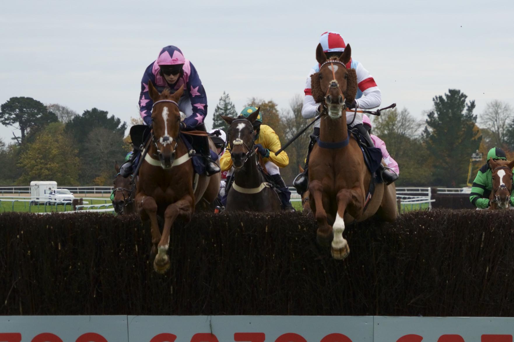 Action from the Southern National and other races at Fontwell Park / Pictures: Clive Bennett - see more at polopictures.co.uk