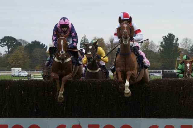 Action from the Southern National and other races at Fontwell Park / Pictures: Clive Bennett - see more at polopictures.co.uk
