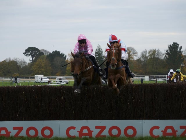 Action from the Southern National and other races at Fontwell Park / Pictures: Clive Bennett - see more at polopictures.co.uk