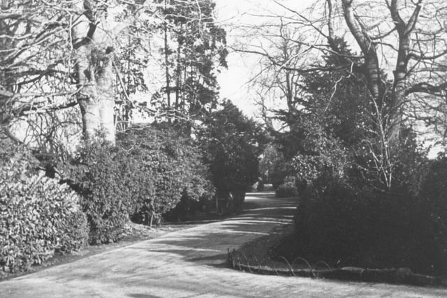 The entrance drive to Park House in Horsham