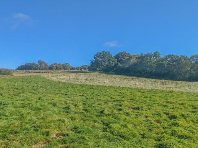 Ninfield small holding. Photo from Zoopla