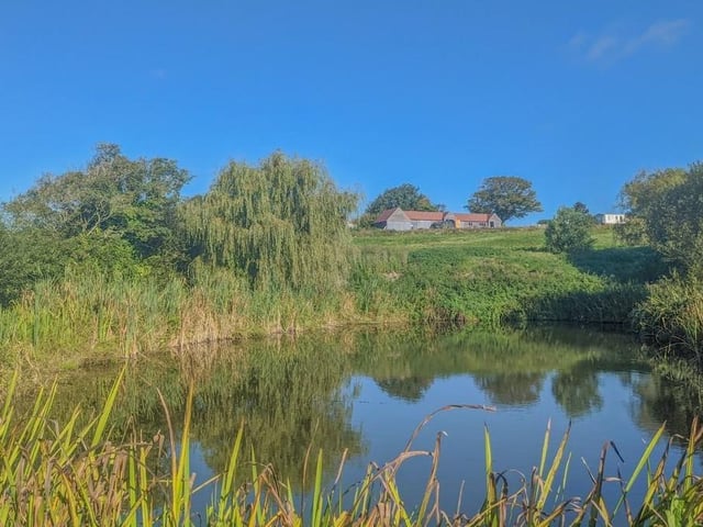 Ninfield small holding. Photo from Zoopla