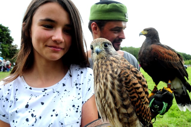 10. Arundel based Hawking About provides bespoke bird of prey experiences. It's rated 5 out of 5 from 220 reviews.