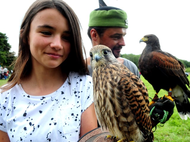 10. Arundel based Hawking About provides bespoke bird of prey experiences. It's rated 5 out of 5 from 220 reviews.