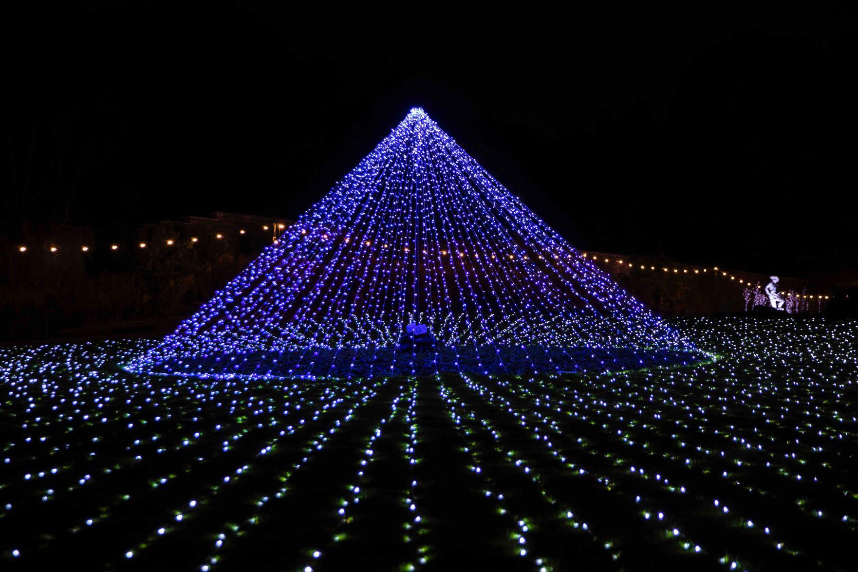 Light shows and festivities at Delapre Abbey. Photo: Kirsty Edmonds.
