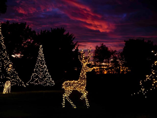 Light shows and festivities at Delapre Abbey. Photo: Kirsty Edmonds.
