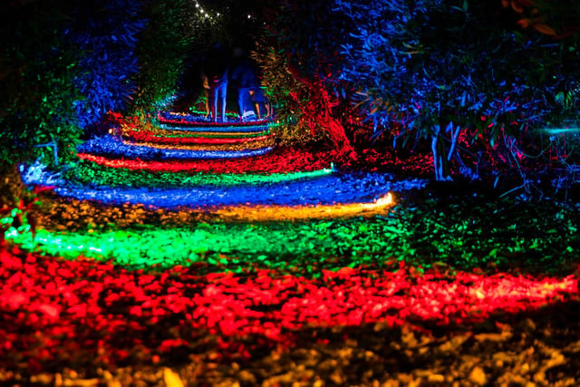 Light shows and festivities at Delapre Abbey. Photo: Kirsty Edmonds.