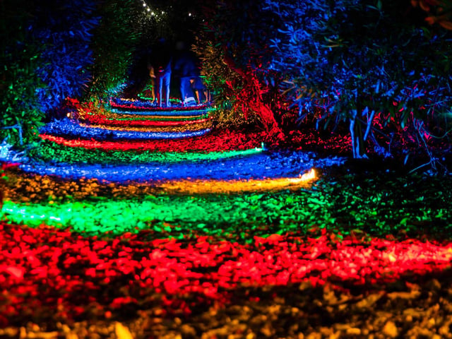 Light shows and festivities at Delapre Abbey. Photo: Kirsty Edmonds.