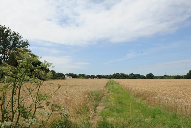 Mayfield Market Towns wants to build 7,000 homes east of Henfield but the idea has so far been strongly resisted by decision makers.