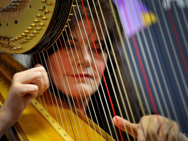 Harpist Margaret Watson. Picture: Mid Sussex District Council.