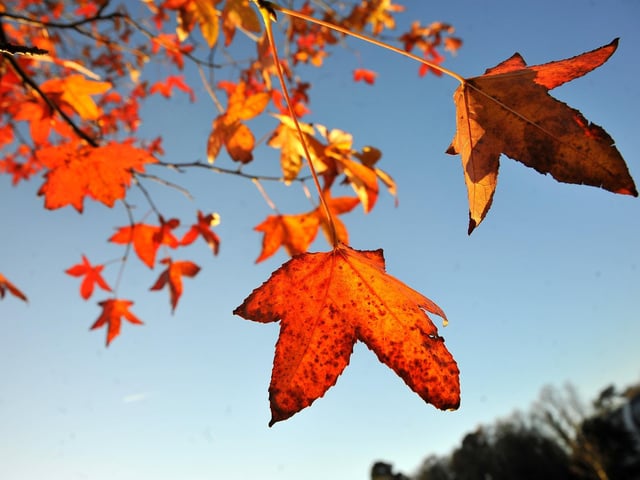 Autumn colours