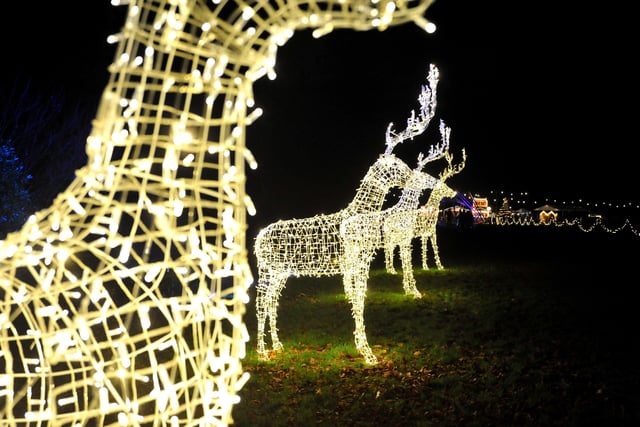 The three-metre high Santa’s Reindeer all lit by programmed lights.