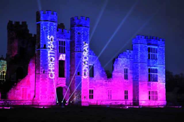 Christmas at Cowdray, light trail and attractions. Pic Steve Robards SR2111244 SUS-211124-212444001