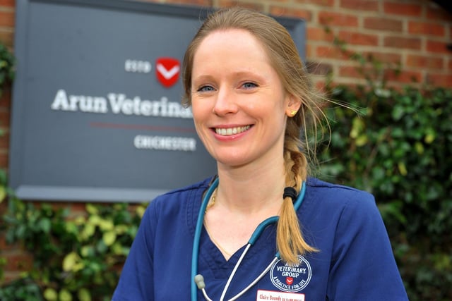 Claire Bounds, clinical director at Arun Vet Group's Chichester practice. Picture by S Robards.