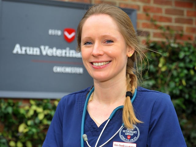 Claire Bounds, clinical director at Arun Vet Group's Chichester practice. Picture by S Robards.
